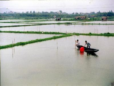 浙江德清县首个全国一村一品专业示范村获农业部认定