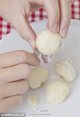 来自中国的“懒大蒜” 