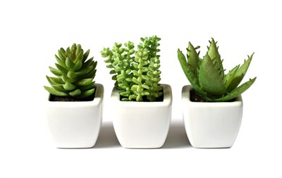 这些办公室抗燥法宝，你都备齐了吗？