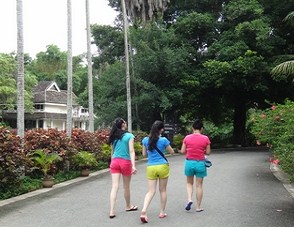 穿梭在热带雨林