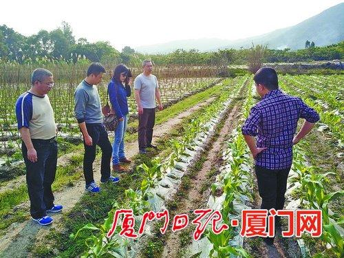 厦门品牌农业建设硕果累累 建成23个农业示范基地