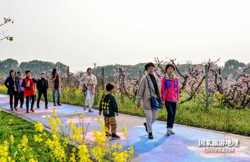 “中国水蜜桃之乡”无锡阳山/春光明媚下的阳山游人