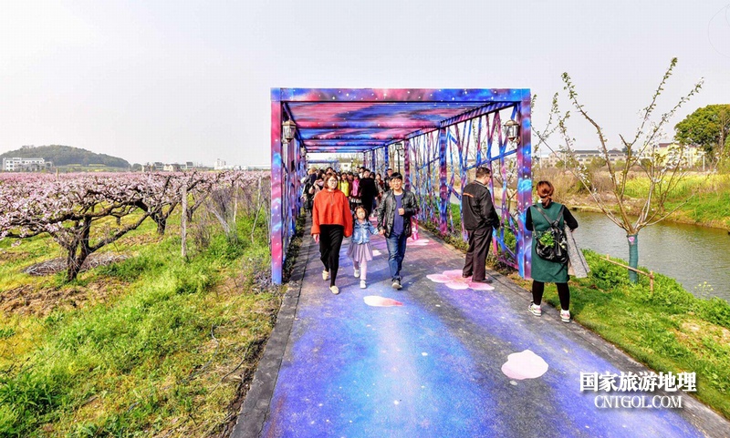 “中国水蜜桃之乡”无锡阳山/无锡阳山蜜桃小镇梅花大道