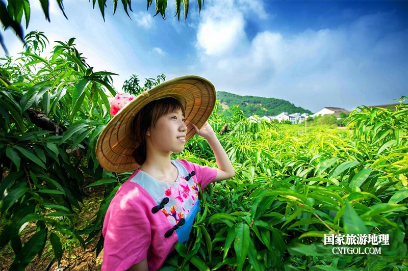 “中国水蜜桃之乡”无锡阳山/阳山桃园中的姑娘