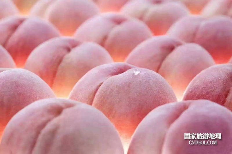 “中国水蜜桃之乡”无锡阳山/中国水蜜桃之乡-无锡阳山水蜜桃